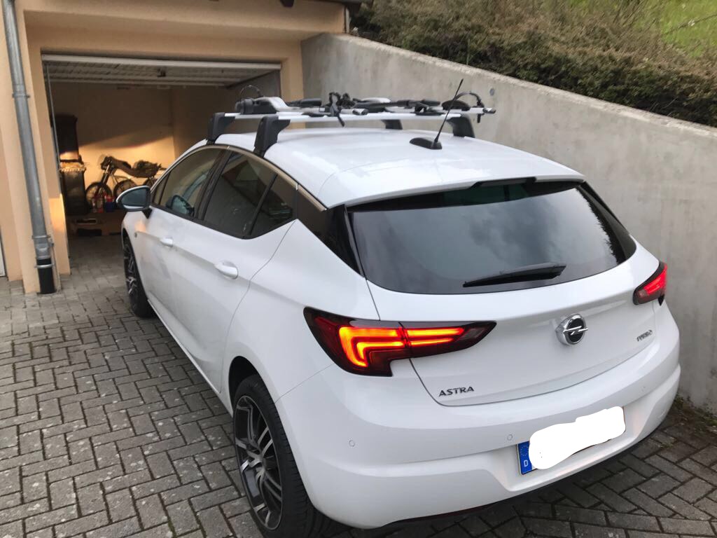 Original Opel Dachträger mit Thule Pro Ride 598